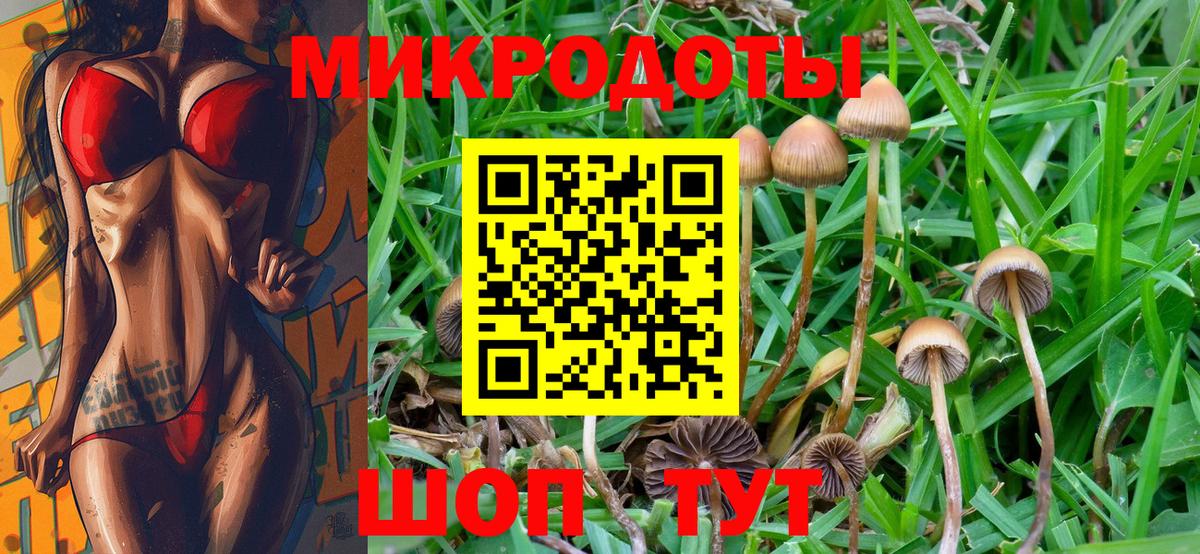 Псилоцибиновые грибы Magic Shrooms Гуково